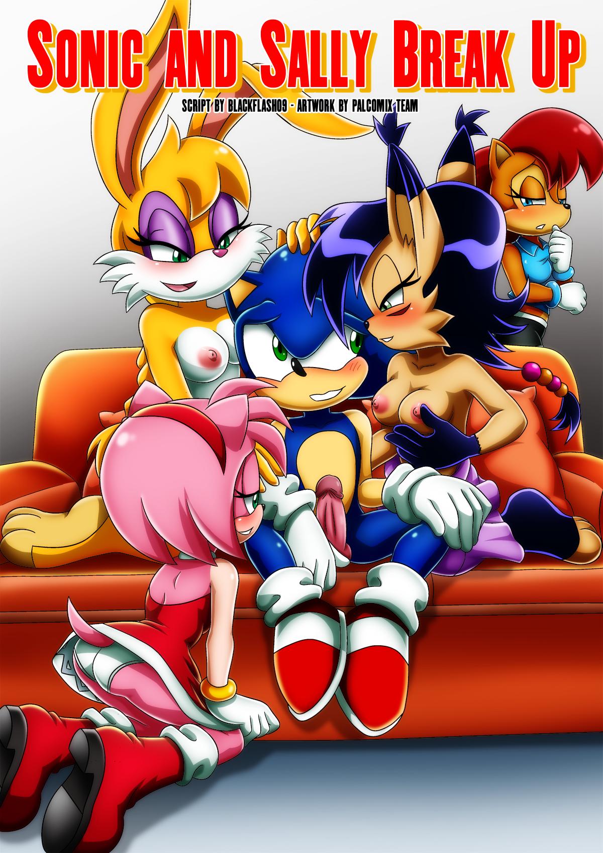 SureFap xxx porno Sonic - [Palcomix][Mobius Unleashed] - Sonic And Sally Break Up
