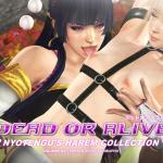 Dead or Alive - [CHOBIxPHO] - DOA - NYOTENGU'S HAREM COLLECTION VOL.02