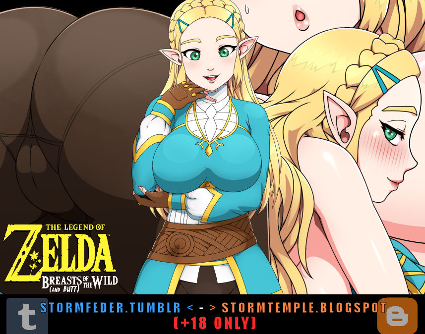SureFap xxx porno The Legend of Zelda - [StormFedeR] - Breasts of the Wild