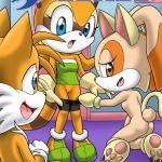 Sonic - [Palcomix][Mobius Unleashed] - Sonic XXX Project 2.5