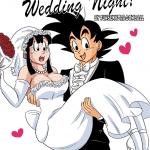 Dragon Ball - [Funsexydragonball (FunSexyDB)] - Wedding Night