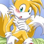 Sonic - [Palcomix][Mobius Unleashed] - Tails Tales 1