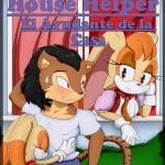 Sonic - [NyuroraXBigdon (BigDon1992)] - The House Helper